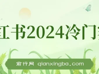 小红书2024冷门赛道：月入3万+暴力变现4.0纯小白项目