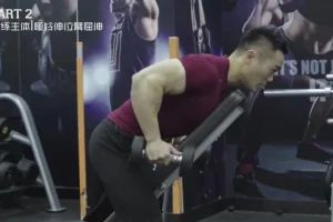 麦大湿14天倒三角身材训练计划：男性专属健身课程