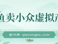 咸鱼卖小众虚拟产品项目课程：简单易上手，单店月利润破W