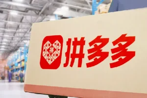 拼多多实操陪跑特训营弟子班（2025年2月）