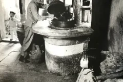 一万张历史老照片素材：分类整理，回溯往昔时光