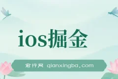 iOS掘金小游戏项目：单人日入300 – 500的赚钱项目