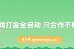 游戏打金全自动合作项目：内测福利，无基础也能操作