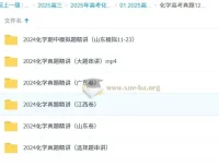 政哥李政 2025高三高考化学真题12小时精讲班