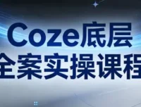 《Coze底层全案实操课程：从架构设计到高效部署的完整指南》