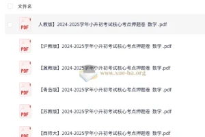 2025学年小升初数学核心考点押题卷（多版本汇总）