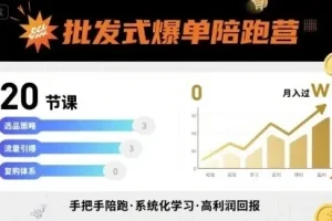 批发式爆单陪跑营：20节实战课实现批发式爆单