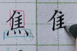 硬笔楷书偏旁部首规律精讲（中级135集教程）