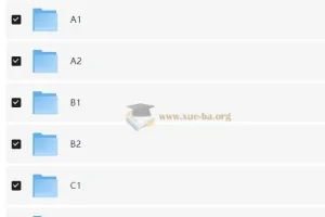 开言英语 A1 – C2 录屏+讲义资源