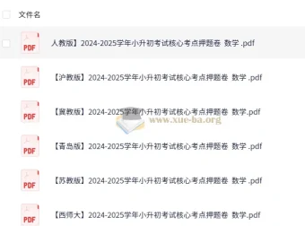 2025学年小升初数学核心考点押题卷（多版本汇总）