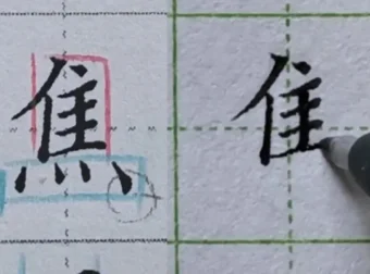 硬笔楷书偏旁部首规律精讲（中级135集教程）