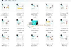 雪梨老师中高级英语语法课：72节系统课程