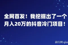 全网首发！月入20万的抖音冷门项目揭秘