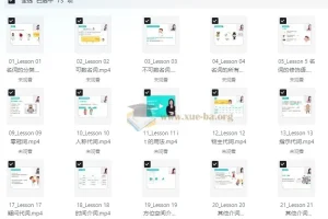 雪梨老师中高级英语语法课：72节系统课程