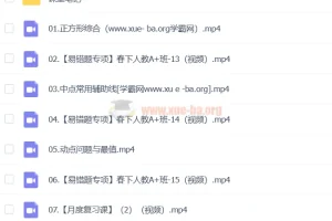 李爽初二数学2024年A+春季班（下）