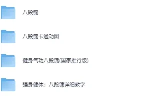 《八段锦》全网收集：详细解说最全整理视频教程