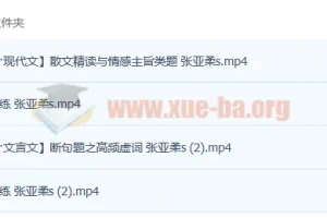 2023高考语文张亚柔s一轮复习暑假班与秋季班（更新4讲）