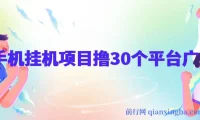 手机挂机零撸30个APP平台广告金币项目