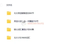 北大英语娘娘：语法+核心词汇暴涨计划+英语大招+16000词汇课程
