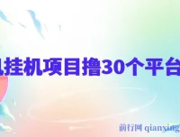 手机挂机零撸30个APP平台广告金币项目