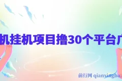 手机挂机零撸30个APP平台广告金币项目