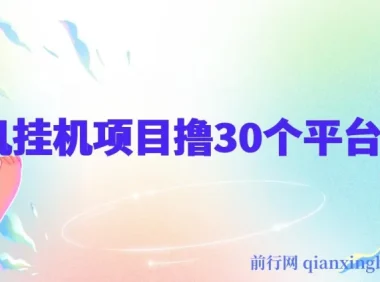 手机挂机零撸30个APP平台广告金币项目