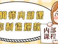 IP剪辑师内部课：教你制造爆款视频