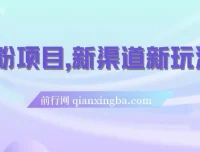 男粉项目：新渠道新玩法，一个作品变现超1000元