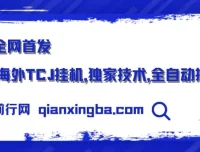 海外TCJ挂机项目：独家全自动撸美金技术