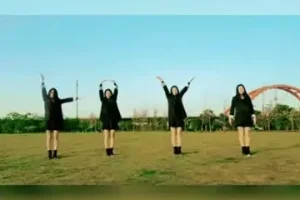 《剪映电脑版：从入门到精通视频剪辑教程与素材》