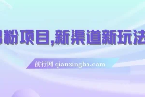 男粉项目：新渠道新玩法，一个作品变现超1000元
