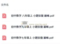 《小题狂做 巅峰版：苏科版7 – 9年级上册数学》