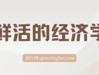 《鲜活的经济学》：生动解读经济现象 epub