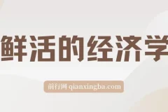 《鲜活的经济学》：生动解读经济现象 epub