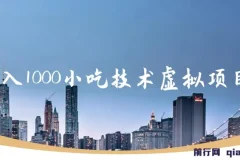 日入1000小吃技术虚拟项目：小吃创业年入百万指南