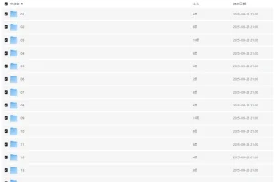 21天从零掌握超级搜索技巧课程