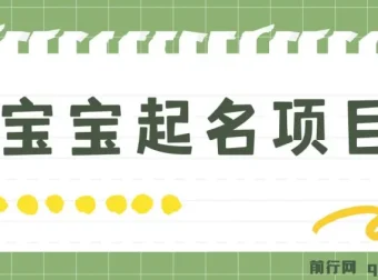 宝宝起名项目：零基础躺赚，月入9000+的暴利商机