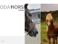 璞石PPT设计教程：从入门到精通的全面指南