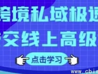 跨境私域极速成交线上高级课：全面掌握跨境电商私域运营