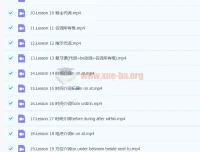 抖音网红英语名师雪梨：初级英语语法71讲课程（含讲义）