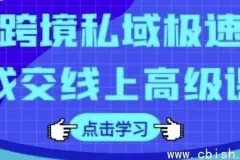 跨境私域极速成交线上高级课：全面掌握跨境电商私域运营