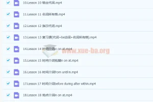 抖音网红英语名师雪梨：初级英语语法71讲课程（含讲义）