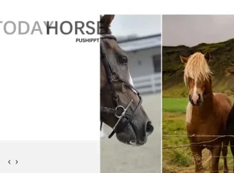 璞石PPT设计教程：从入门到精通的全面指南