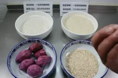 早餐创业全攻略：85款热门早餐制作技术教程