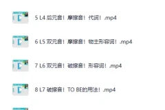 《英语零基础直达口语流利》B站付费课程 – 周树华（美籍讲师）