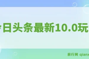 今日头条最新10.0玩法：新手轻松矩阵日入2000+项目介绍