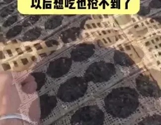 李鲆短视频带货实战指南：电商新手与内容创作者的爆单课程