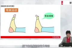 代代木动画学院：零基础角色绘画速成课程