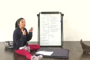 《瑜伽从初级到高级：100节全面教程，适合全水平练习者》