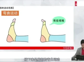 代代木动画学院：零基础角色绘画速成课程